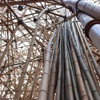 Big bambu.