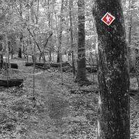 Hiking at Jordan Lake.