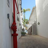 Miami alleyway.