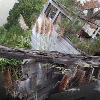 Abandoned ship.